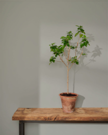 Wall Paint 2500 ml Paris Grey