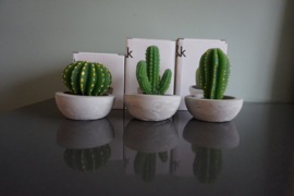 Cactus kaarsje