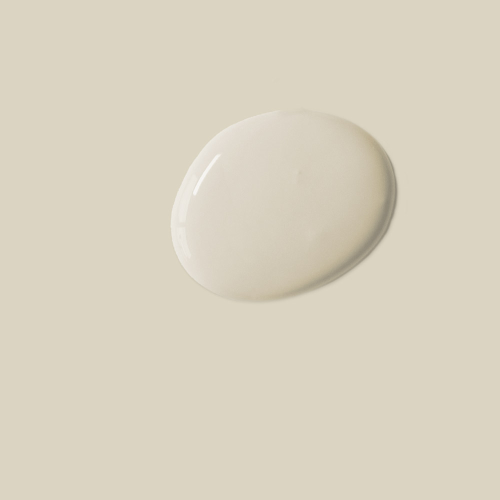 Chalk Paint 120ml Canvas