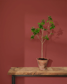 Wall Paint 2500 ml Primer Red