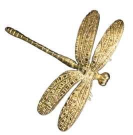 Knop Goud Libelle - 80mm