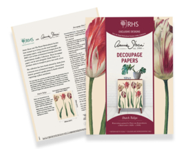 A.S. Decoupage Dutch Tulips