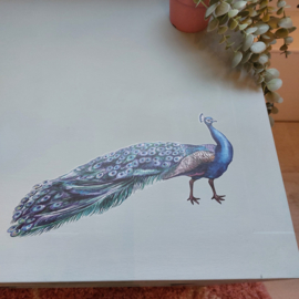 Transfer Redesign - Peacock Dreams (60,96x88,90 cm)
