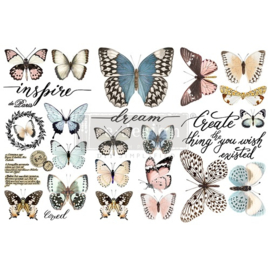 Transfer Redesign - Papillon Collection
