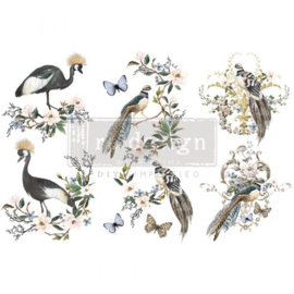 Transfer Redesign - Rare Birds (3 vellen van 15,24x30,48 cm)
