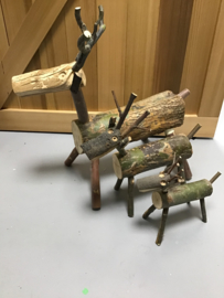 Rendier hout M