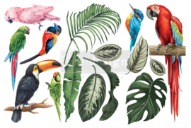 Transfer Redesign - Tropical Birds (3 vellen van 15,24x30,48 cm)