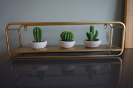 Cactus kaarsje