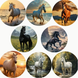 Onderzetters rond hout met paarden