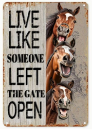 Metalen bord 'LIVE LIKE.....'