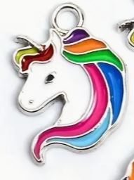 Kettingkoord en regenboog paardenhoofd