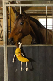 Foodie Friends BANAAN