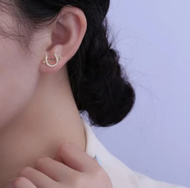 Zilveren oorstekers hoefijzer met strass