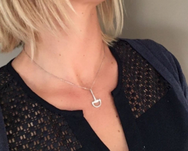 Zilveren paarden ketting met bit en strass steentjes