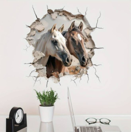 Wanddecoratie gat met paardenhoofden