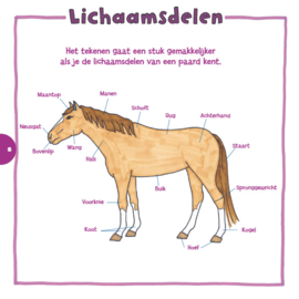 Boek 'Ik leer paarden tekenen'