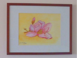 De Magnolia