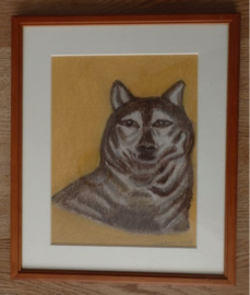 De Wolf
