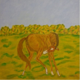 Het Paard