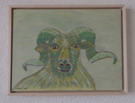 De Ooi een schapen