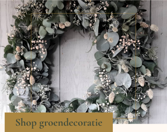 Shop groendecoratie voor in huis