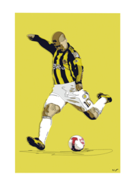 Alex de Souza Fenerbahçe