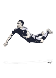 Robin Van Persie WK14 Nederland