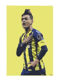 Mesut Özil, Fenerbahçe