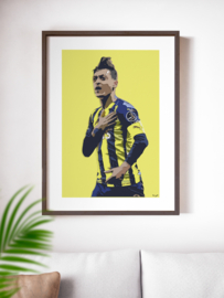 Mesut Özil, Fenerbahçe