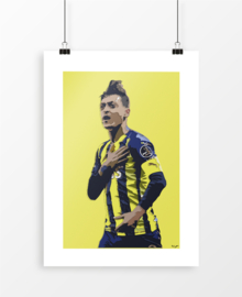 Mesut Özil, Fenerbahçe