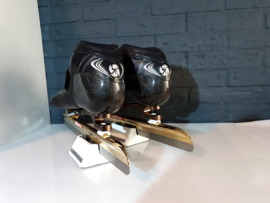 Bont Vaypor Twin Laser Klapschaats Maat 48