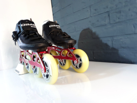 Dims Warp 4x84 Maat 31