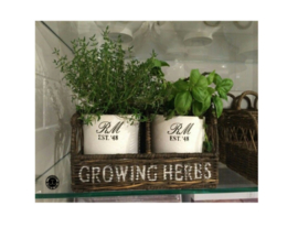 Growing Herbs potjes (letters en jaartal naar wens)