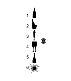 Champagnefles, koeler met fles, glazen of vuurwerk met naam