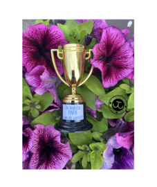 Trofee met tekst naar wens (lettertype naar keuze)