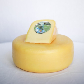 Schapenkaas jong