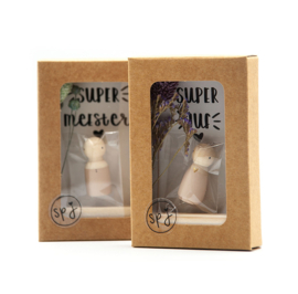 Cadeaudoosje "Super juf/meester"