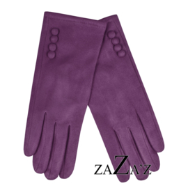 HAN 17 494 VIO x 2