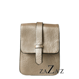 CLU 13 2000 GOLD