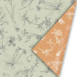 Cadeaupapier 50cm - Solid ground green