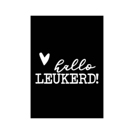 Wenskaart - Hallo leukerd!