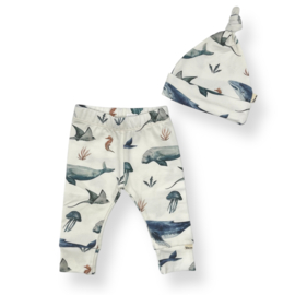 broekje / legging + mutsje  | zeedieren