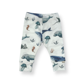 broekje / legging | zeedieren
