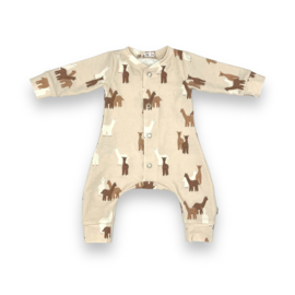 Boxpakje  50/56 |  alpaca