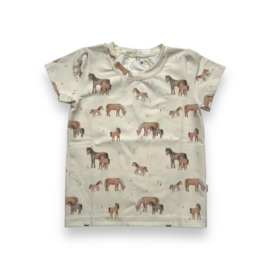 Shirt korte mouw |  Horses Cream