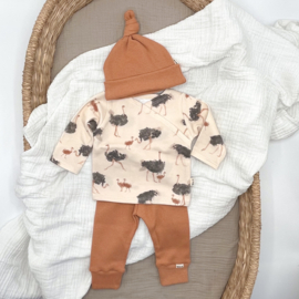Newborn setje |  struisvogels