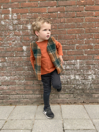 Gilet | Teddy check donkergroen