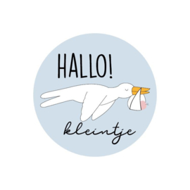 Hallo kleintje  40mm |  sticker | 5 stuks