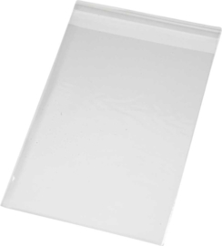 Transparante zakjes | 10 stuks