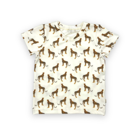 Shirt korte mouw |  off white panter